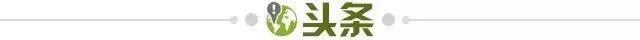 398d4d03-33d3-4747-b850-165fefb8e5e5.jpg@!img01