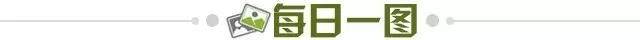 dfdf04c5-af00-4486-afb0-e23e26de06cf.jpg@!img01